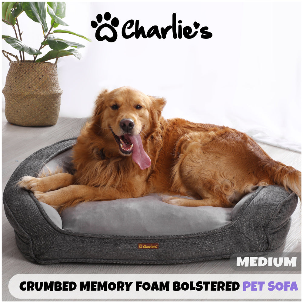 Charlie&#39;s Bobby Ultra Soft Crumb Memory Foam Pet Sofa Medium