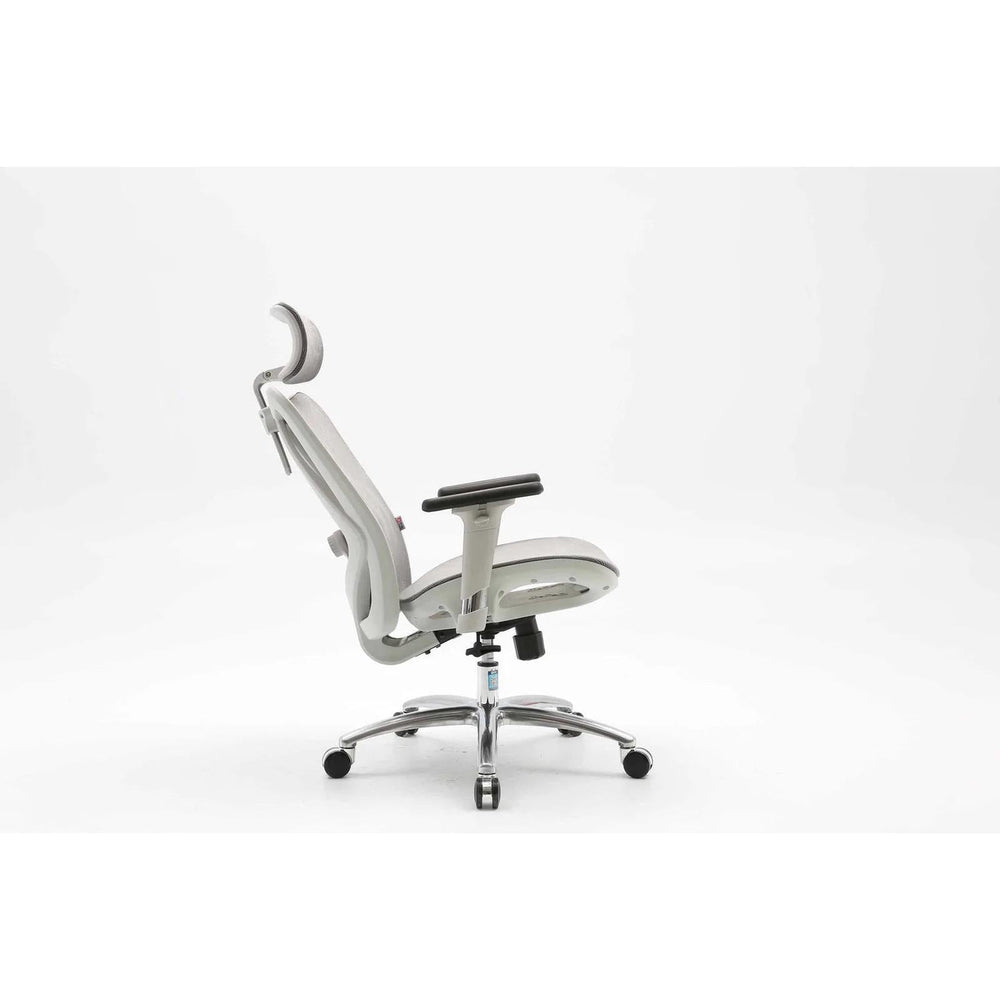 SIHOO M57 Ergonomic Office Chair Desk Chair Computer Chair with Adjustable Headrest Backrest and Armrest - Grey