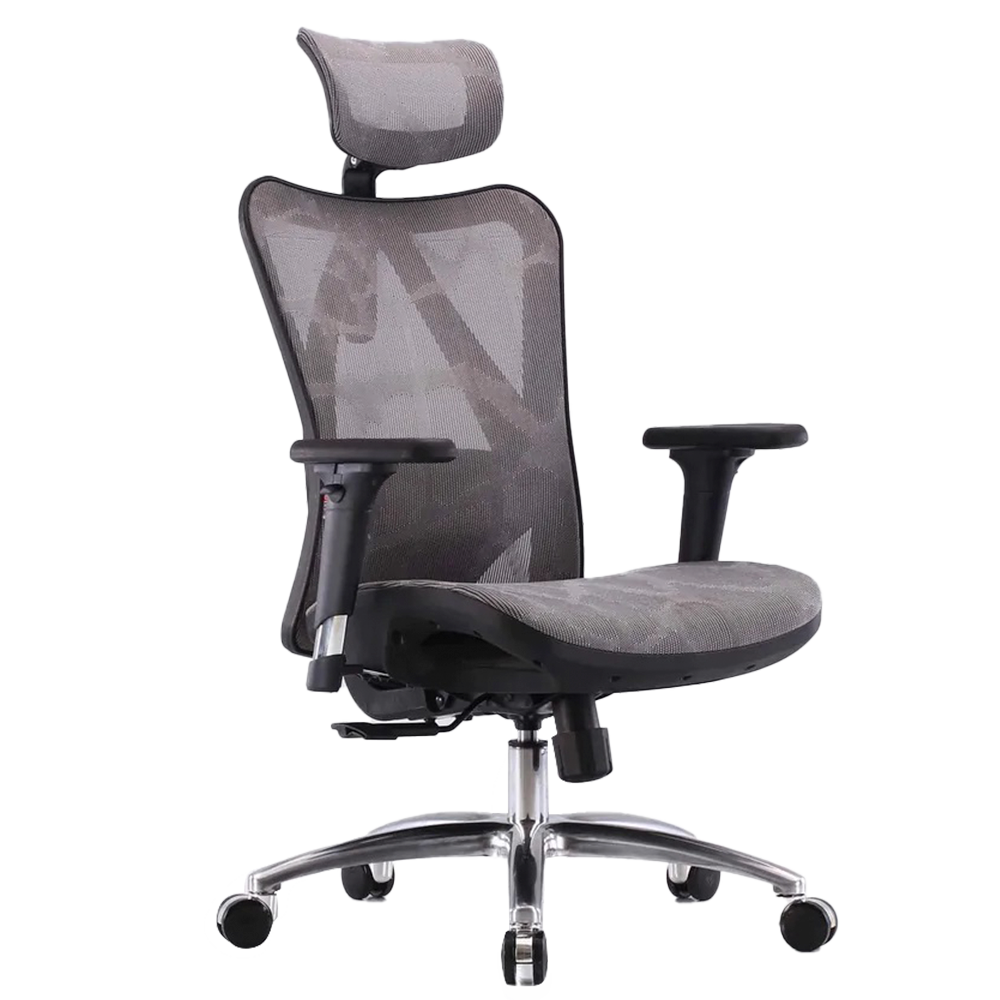 SIHOO M57 Ergonomic Office Chair with Premium Mesh Seat, Headrest, Arm –  Coles Best Buys Online Exclusives