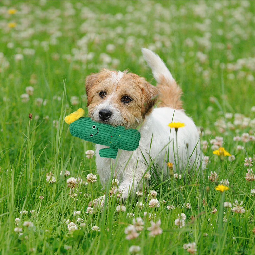 Pawz Dog Chew Toys Squeaky Puppy Soft Plush Non-toxic Teething Interactive