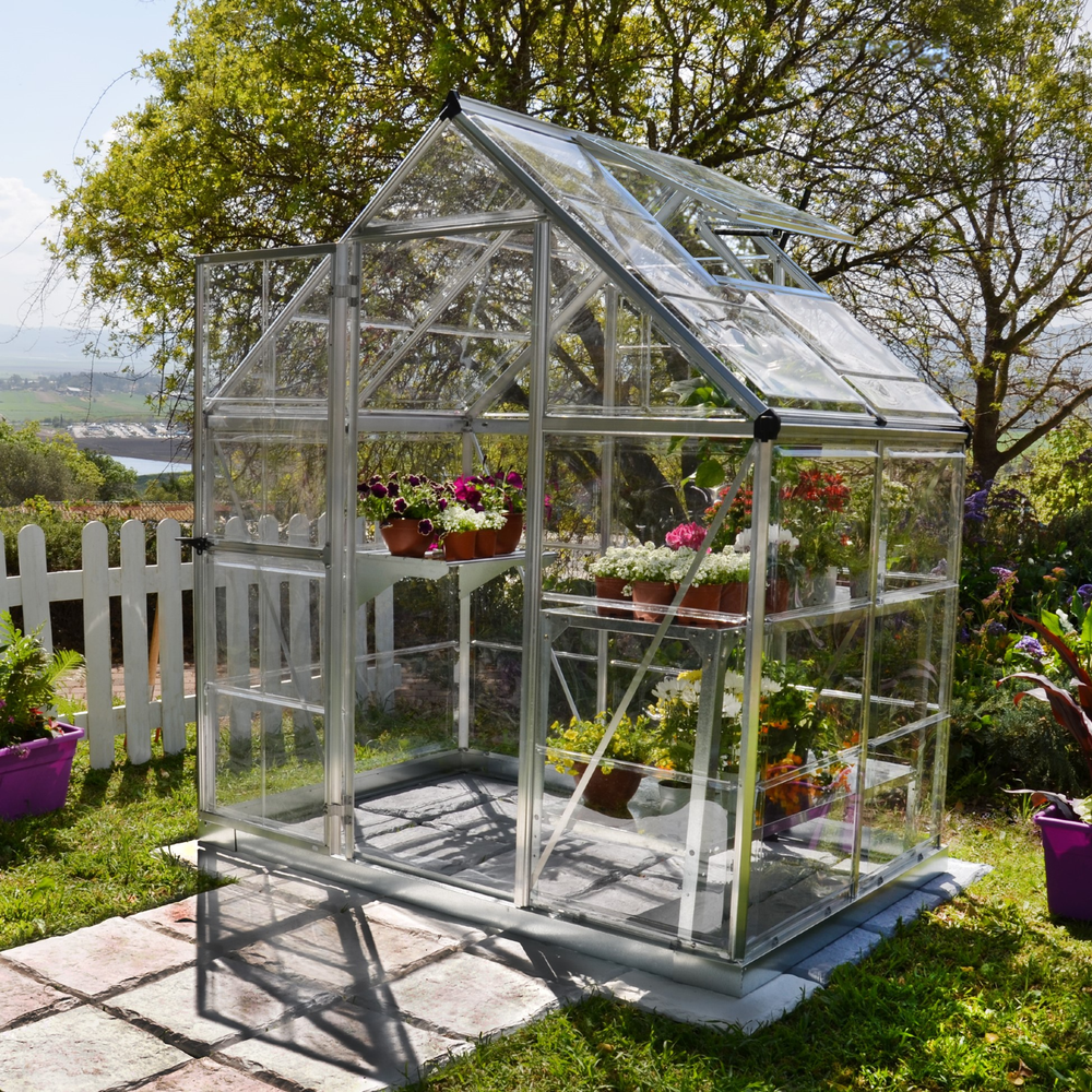 Maze Walk in Polycarbonate Greenhouse 6ft x 4ft