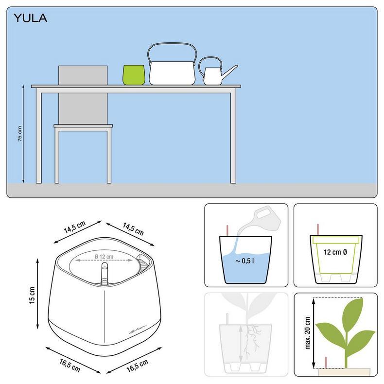 YULA Planter - White / Pearl Rose