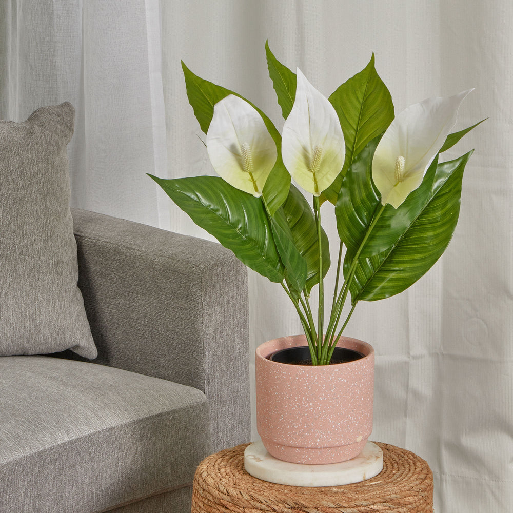 Marketlane 55Cm Artificial Peace Lily Plant